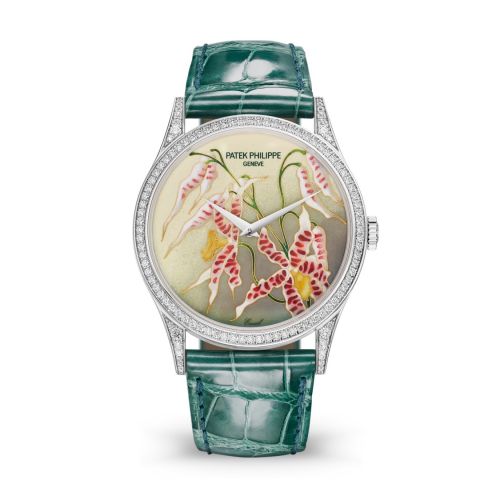 Patek Philippe Calatrava 5077 White Gold Diamond Orchids