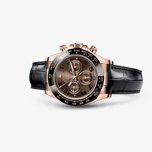Rolex Cosmograph Daytona Everose Cerachrom Chocolate Strap