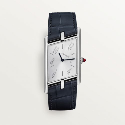 Cartier Tank Asymétrique Platinum Silver
