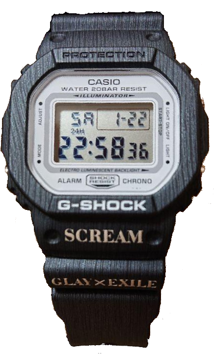 Casio G-Shock DW-5600-Glay-Exile