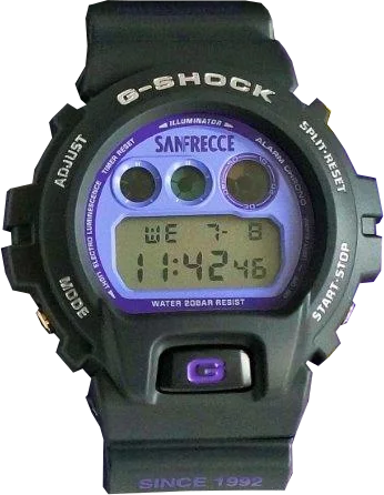 Casio G-Shock DW-6900BSH-1