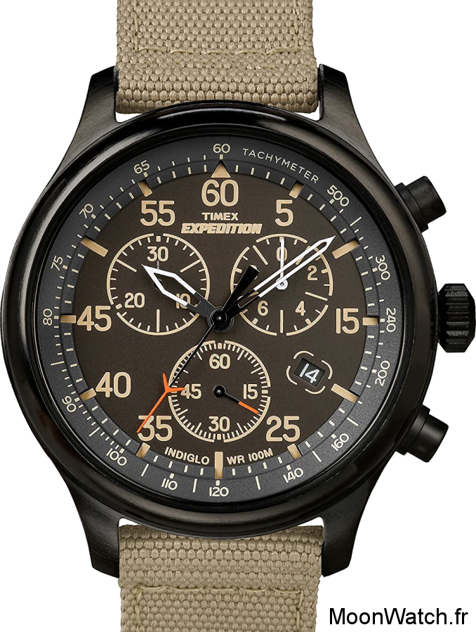 timex expedition field