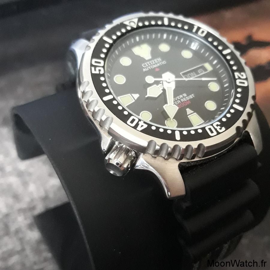 citizen promaster diver