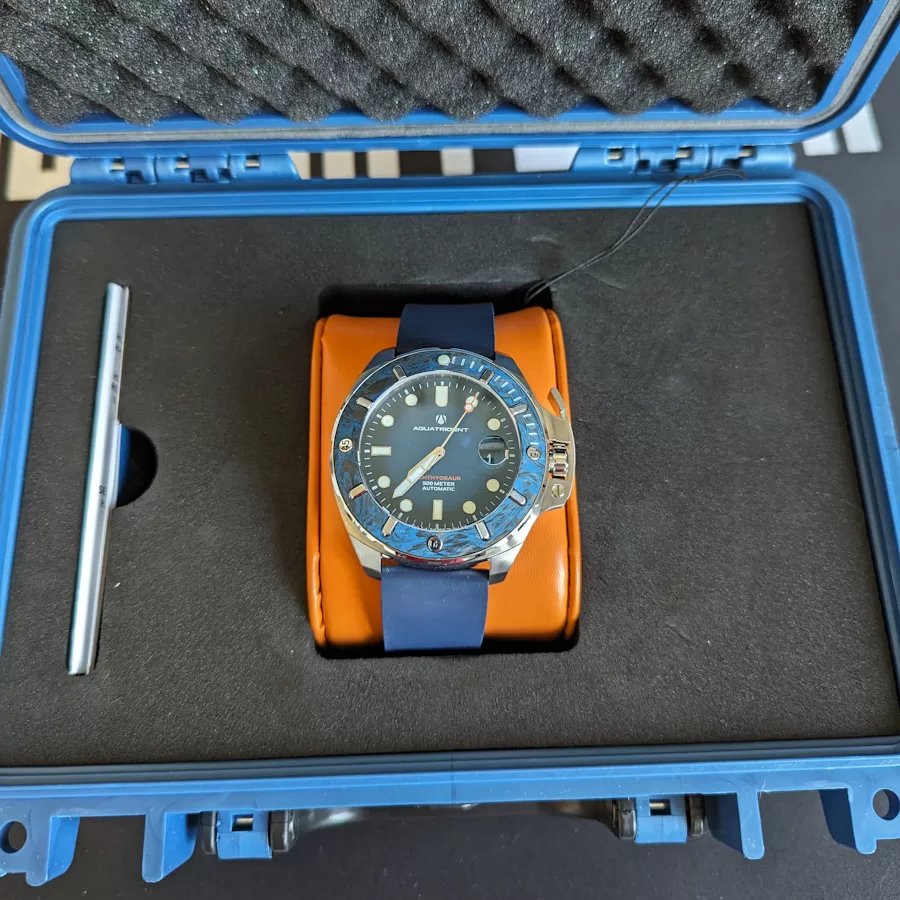 packaging aquatrident ichthyosaur