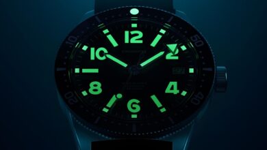 chronofixe diver