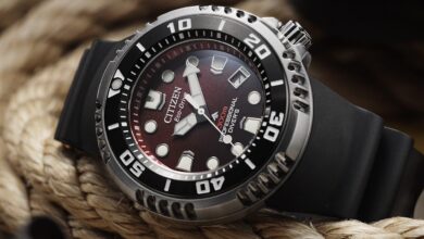 citizen promaster professional diver 300m 2025