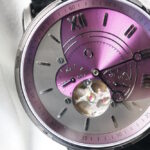 alpha leonis xr-71 automatic