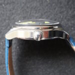 power panda hivecore crown