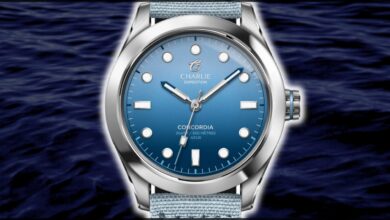 charlie concordia azur