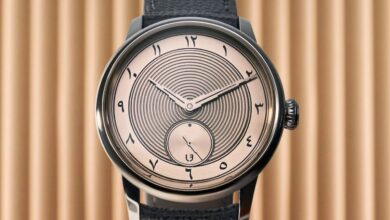 louis erard x seddiqi