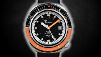 squale 2001 michel laval