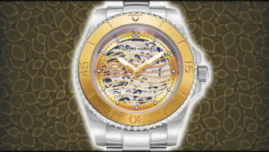 filippo loreti aquadiver skeleton