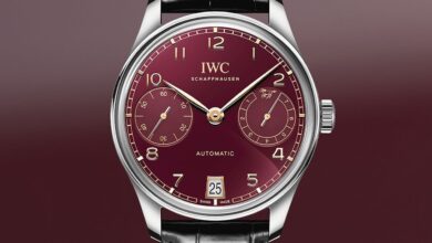 iwc portugieser year of the horse