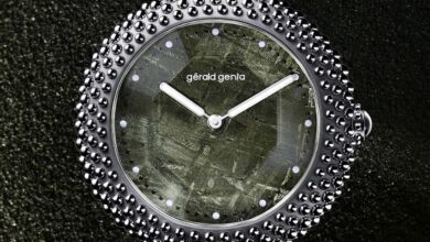 gérald genta gentissima oursin