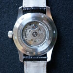 Hamilton Murph caseback