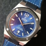Festina Automatic F22005