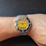 Venezianico Nereide Tigris wristshot