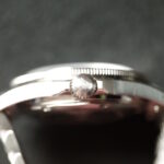 Phorcydes Skin Diver crown